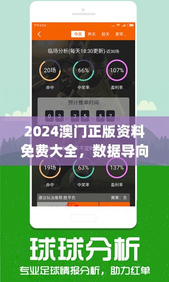 2024澳门精准正版资料免费全,稳定性设计解析_SE版25.928