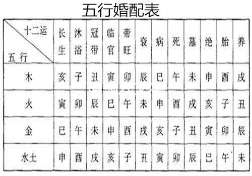 最新五行婚配表及其应用解析