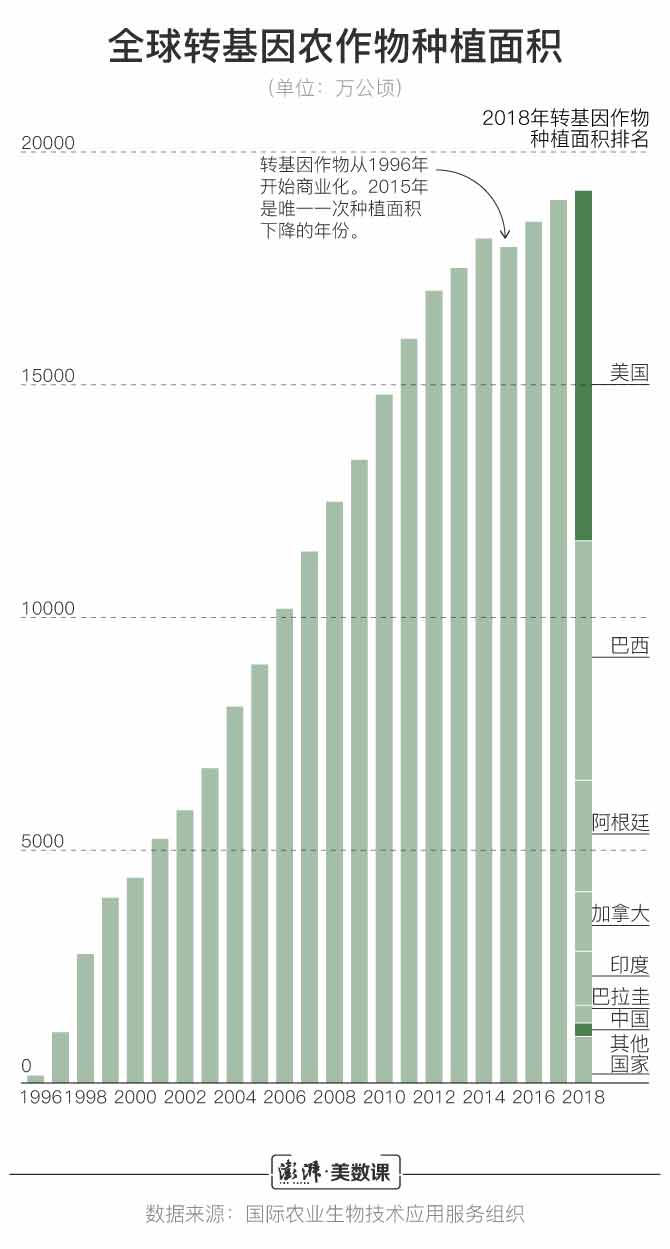 转基因食品的最新动态，科学争议与公众关注焦点